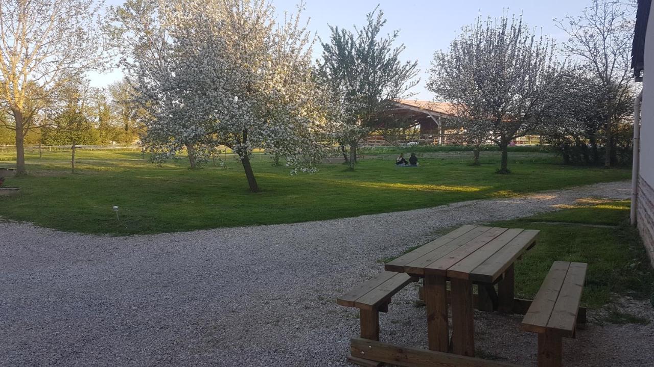 Saint-Trivier-sur-MoignansFerme Passion住宿加早餐旅馆 外观 照片